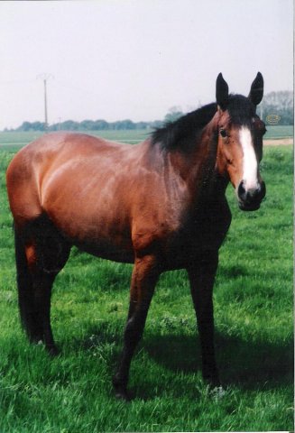 Gabinette